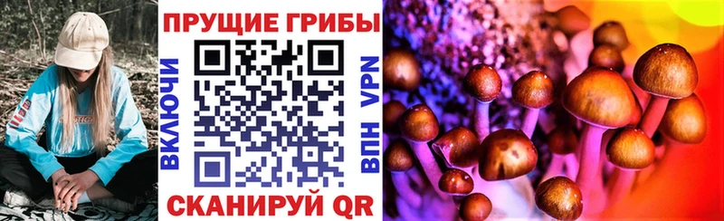 Псилоцибиновые грибы MAGIC MUSHROOMS  Луза 