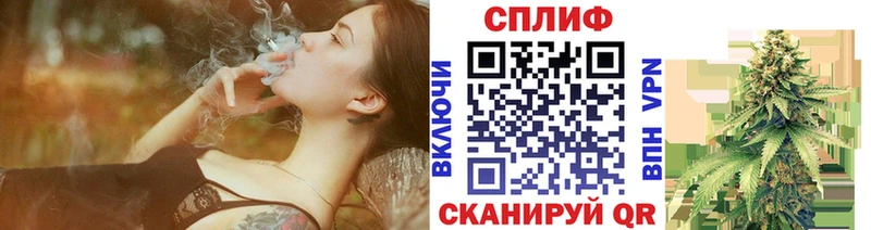 Конопля ГИДРОПОН  Луза 